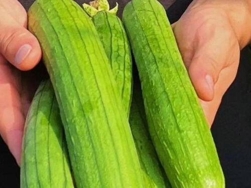 吃瓜讲解,吃瓜群众视角下的娱乐圈风云录