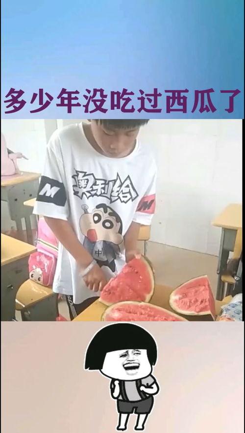 吃瓜表弟知乎,趣味问答背后的故事