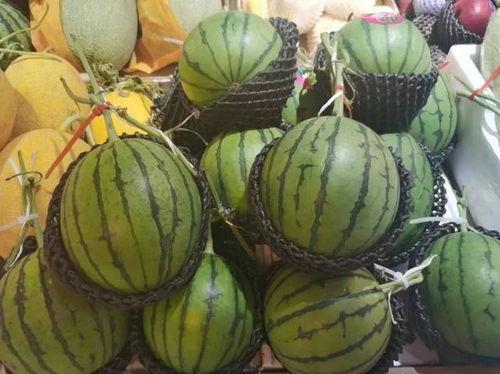 吃瓜小课,轻松掌握热门话题的趣味解读