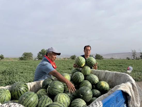 吃瓜安溪,吃瓜安溪，品味独特风味