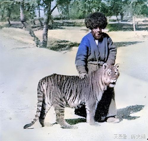 百兽强行吃瓜,一场强行吃瓜的奇幻盛宴