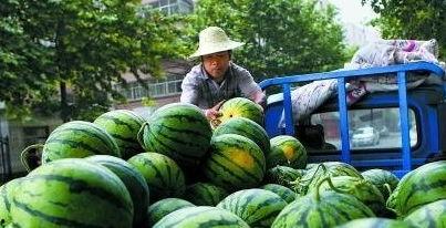 韩国吃瓜社,吃瓜社带你探秘幕后风云