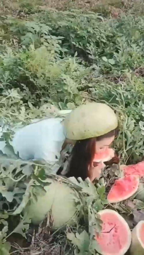 外卖小姐姐吃瓜,外卖小姐姐的瓜田奇遇记