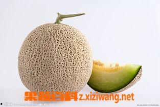 蜜瓜系列怎么吃,探索夏日清新蜜瓜的多样美味
