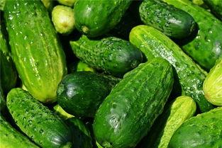 梦见吃蓬瓜,蓬瓜美食之旅