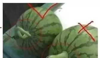 吃瓜小勺子吃的说说,揭秘娱乐圈那些不为人知的幕后故事