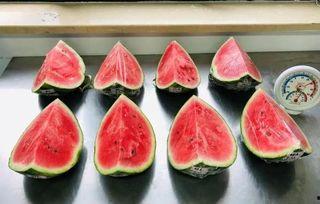 日本吃泡瓜,传统与创新的美味融合