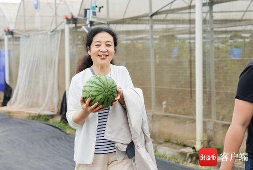 陈祎在线吃瓜,揭秘娱乐圈幕后故事
