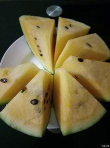 吃瓜论坛 模块,揭秘娱乐圈幕后故事，带你领略明星真实生活