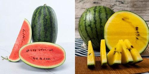 西瓜吃瓜是什么瓜,揭秘夏日消暑佳品之谜