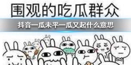 最新吃瓜事件抖音,最新吃瓜事件，揭秘幕后真相！”