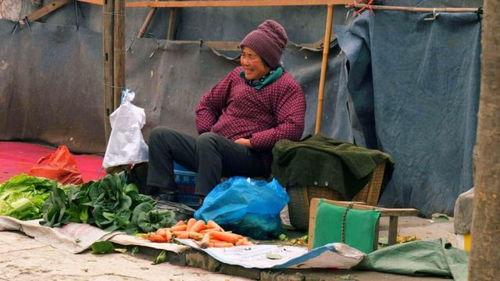 青海吃瓜老汉视频,一场田间地头的欢乐盛宴