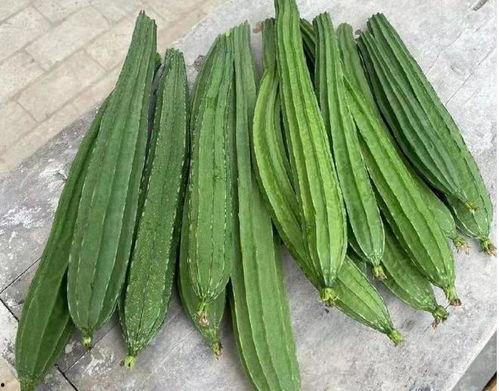 吃的绿色瓜叫什么,揭秘“吃的绿色瓜”之谜