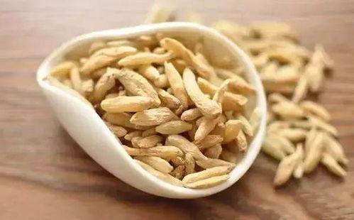 麦冬的爸爸吃瓜,麦冬爸爸的瓜田奇遇记