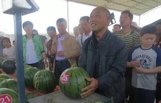 麻栗坡吃瓜群众