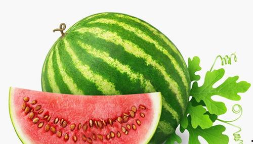 网名广西有瓜吃,网名“广西有瓜吃”背后的故事