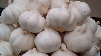 刘大瓜吃大蒜视频,辣味十足引网友热议