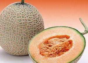 铁蛋白高可吃哈密瓜吗,哈密瓜能吃吗？营养师为你解答