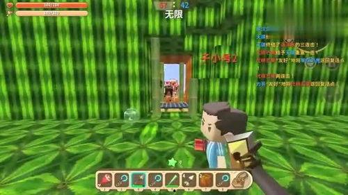 迷你世界在线吃瓜,在线吃瓜狂欢，揭秘虚拟世界的趣味生活