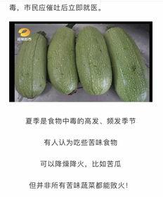 吃瓜5角,一场关于美食与文化的跨界之旅