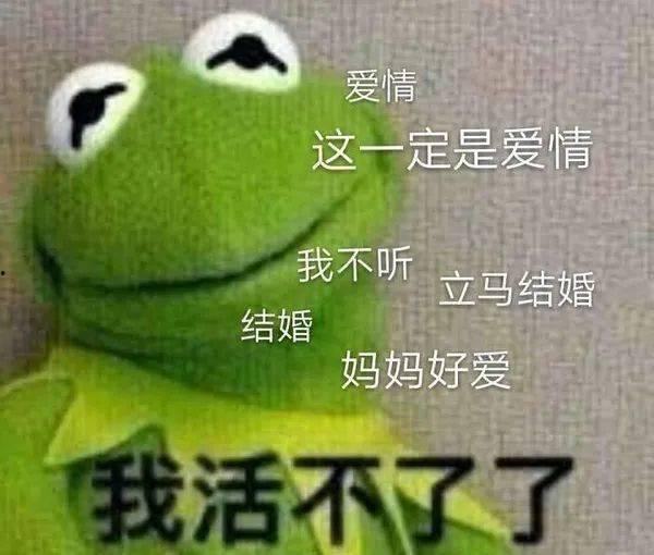 人类高质量吃瓜,品味生活，畅享瓜界盛宴