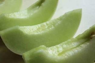 慈溪吃瓜事件,一场网络舆论的风波与反思