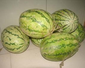 吃瓜部落 下载,揭秘网络热议背后的真相与趣味