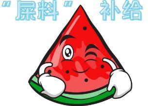 邯郸大型吃瓜公司,揭秘瓜界巨头背后的故事