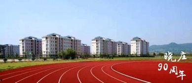 晓庄学院操场吃瓜,校园生活新风尚