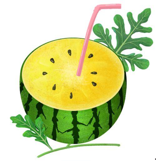 高质量吃瓜头像,揭秘高质量吃瓜头像背后的魅力