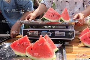 吃大瓜恶心,大瓜盛宴背后的恶心真相揭秘