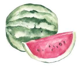 盘点不同人吃瓜,盘点各路吃瓜群众的独特口味