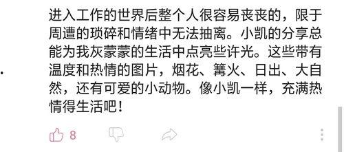吃瓜人才组前身,揭秘网络舆论的演变之路