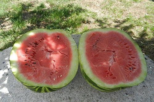 梦见自己在削瓜吃,揭秘削瓜吃瓜的神秘寓意