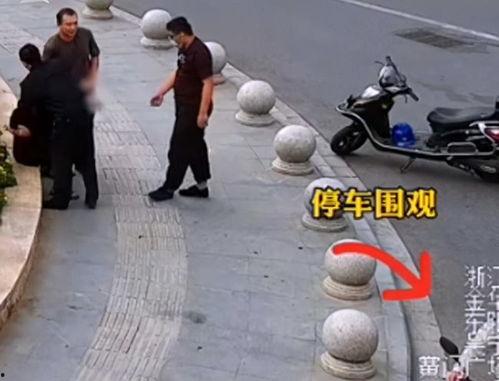 吃瓜被抓新闻,一幕“吃瓜被抓”的新闻引发热议