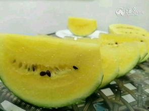 围观吃瓜壁纸,揭秘网络热图的背后故事