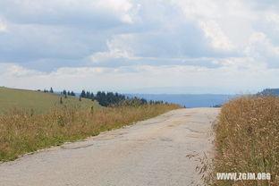 梦见吃瓜出门,吃瓜出门的奇幻之旅