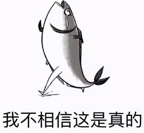 小丑吃瓜表情包,欢乐与讽刺的完美结合