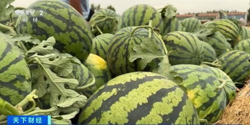 天台上吃瓜视频