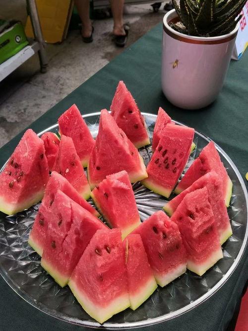 吃瓜高手的视频