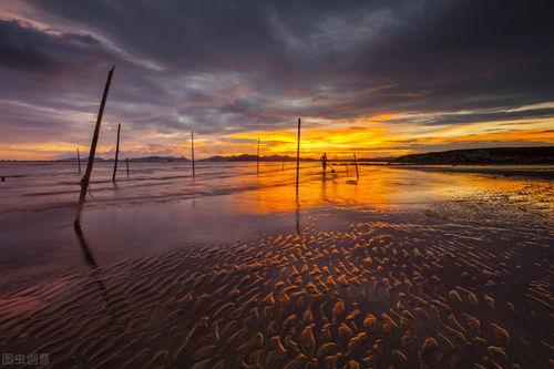日落吃瓜小说,一场穿越时空的奇幻冒险