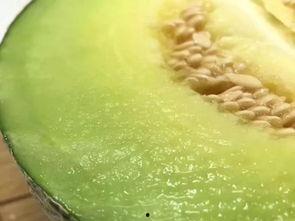 吃瓜群众吃米饭