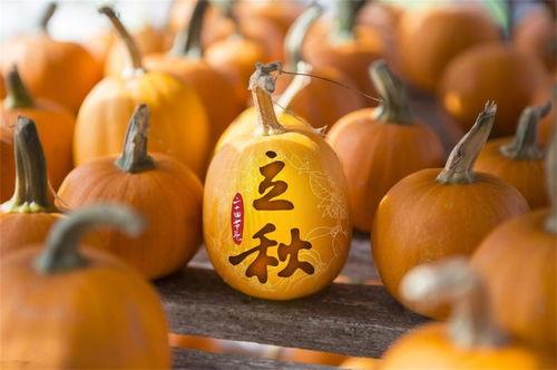 立秋吃秋瓜好处,揭秘秋季吃瓜的五大益处