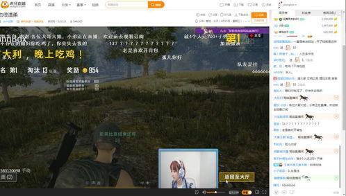 吃瓜小组大小s回放,揭秘娱乐圈幕后故事