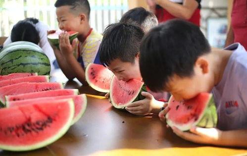 全民吃瓜日最大的瓜,揭秘年度最大瓜的惊人内幕