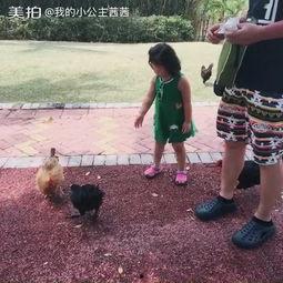 路上偶遇吃瓜,一场意外的“吃瓜”盛宴