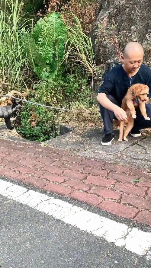 路上偶遇吃瓜,一场意外的“吃瓜”盛宴