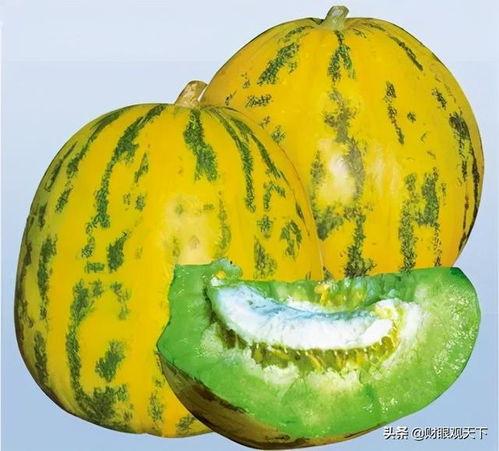 吃新疆的瓜,探寻新疆特色瓜果的魅力