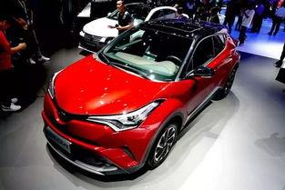 亚洲龙吃瓜,瓜田里的美食传奇