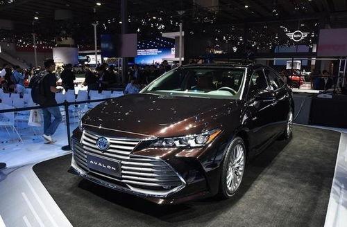 亚洲龙吃瓜,瓜田里的美食传奇